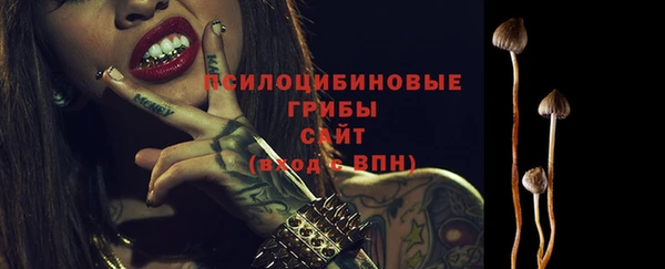 таблы Карпинск