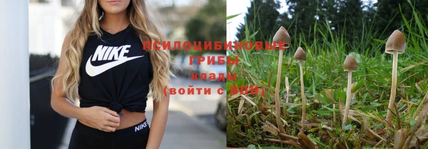 прущая мука Карталы