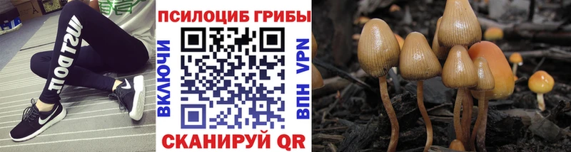 Галлюциногенные грибы мицелий  Купить закладки  Жирновск 